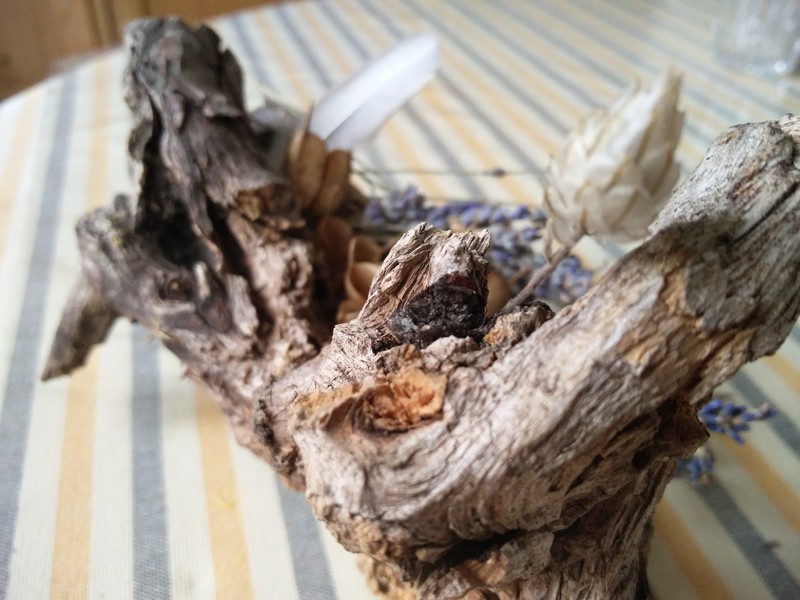 Oneplus 2 First Impressions Plpeeters