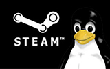 Valve lance une enquête pour sa bêta de Steam sur Linux